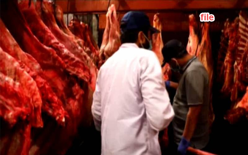 کے پی فوڈ اتھارٹی ان ایکشن، لنڈاکے میں گاڑیوں سے جانوروں کے مضر صحت اعضا برآمد