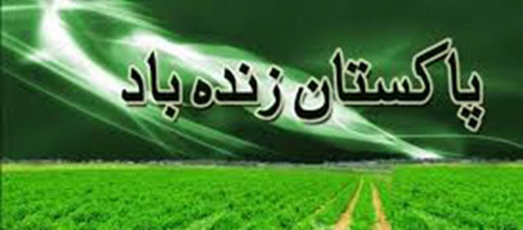 پاکستان زندہ باد مومنٹ سوات کاپی ٹی ایم کے خلاف آپریشن ردالغدارکا مطالبہ