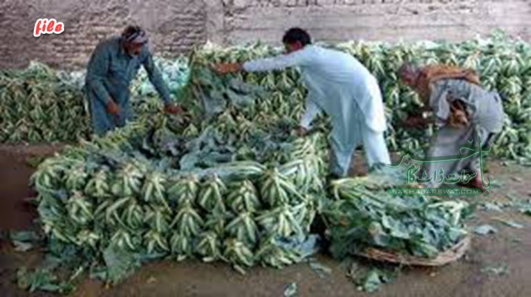 سبزی منڈی کو بلوگرام منتقل کرنے کا حتمی فیصلہ کرلیا گیا