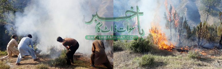 سیگرام، پہاڑی میں آگ لگ گئی، قیمتی پودے جل کر راکھ