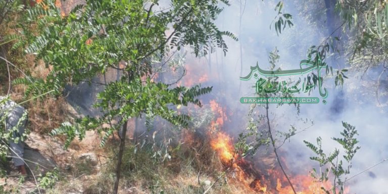 سوات، پہاڑیوں پر آگ لگنے کا سلسلہ بدستور جاری، لوئے بنڑ دنگرام بھی متاثر
