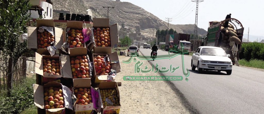 سوات، آڑو کے باغات میں رونق لگ گئی