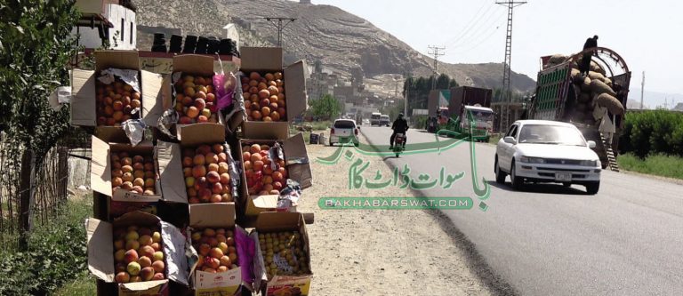 سوات، آڑو کے باغات میں رونق لگ گئی