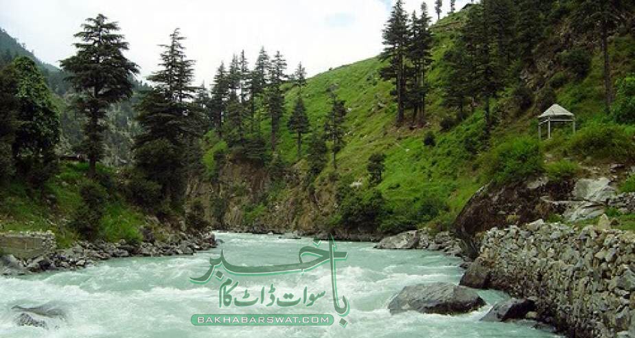 بحرین، سیلفی کا شوق دو سیاحوں کو دریامیں لے ڈوبا