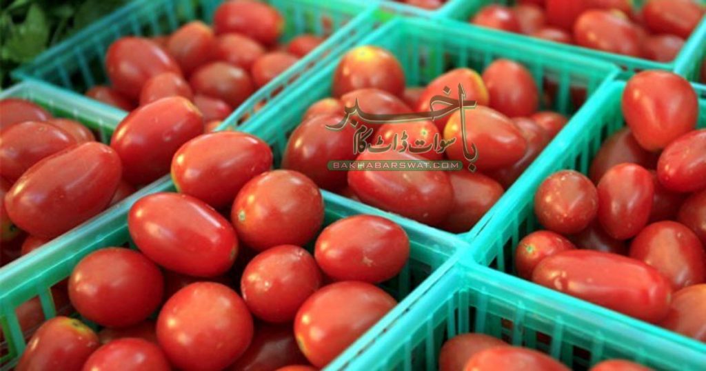 مینگورہ شہر سبزی منڈی کی منتقلی کا مسئلہ چند اڑھتیوں کی ضد کی وجہ سے برقرار
