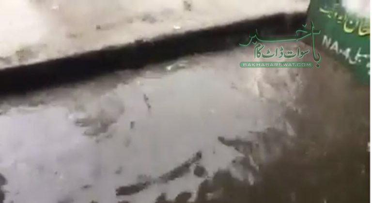 سوات، تیز بارش کے ساتھ ندی نالوں میں طغیانی