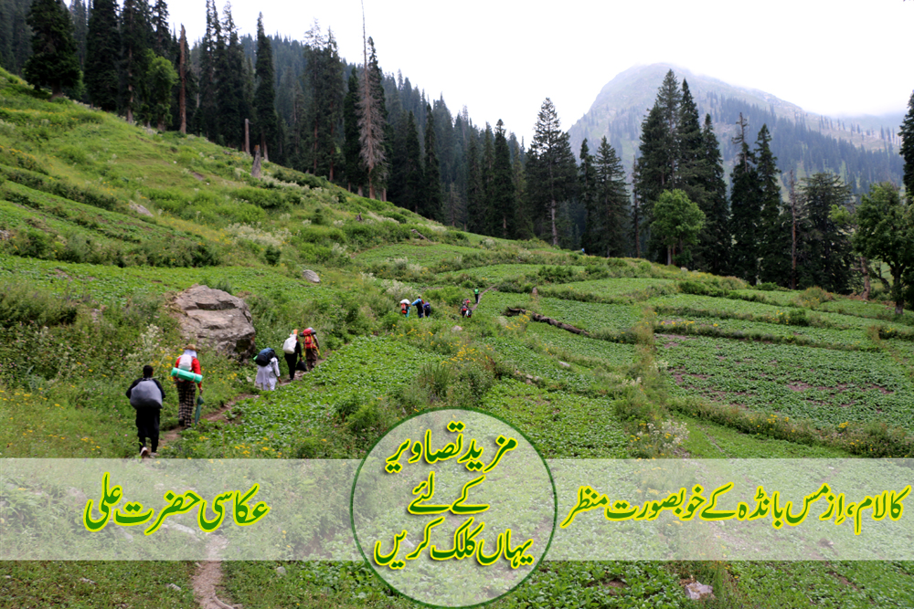 کالام،اِزمس بانڈہ کے خوبصورت منظر،عکاسی حضرت علی