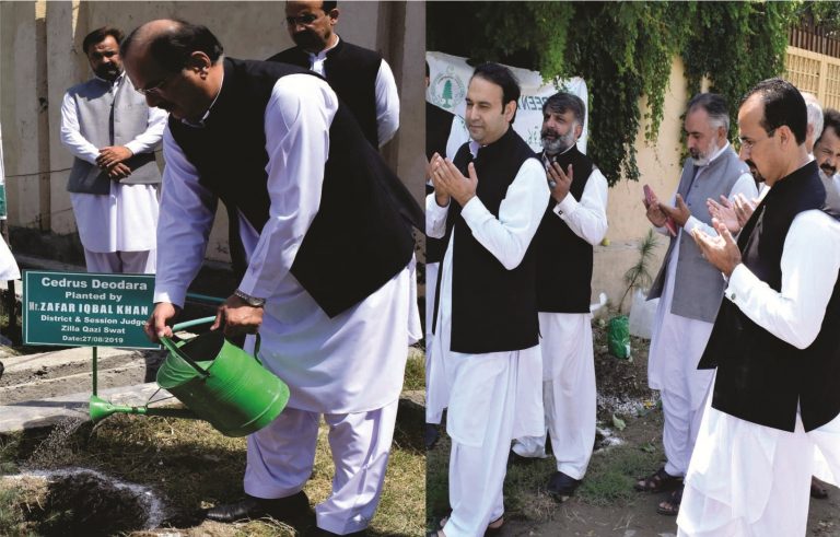 چیف جسٹس پشاور ہائی کورٹ کی ہدایت پر سوات کی عدالتوں میں شجر کاری مہم کا آغاز