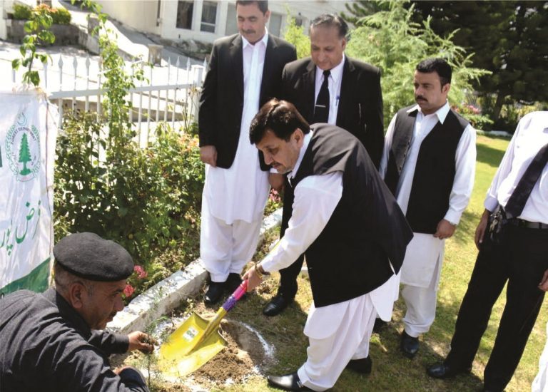 پشاور ہائی کورٹ مینگورہ بنچ کے احاطے میں شجر کاری مہم کا آغاز