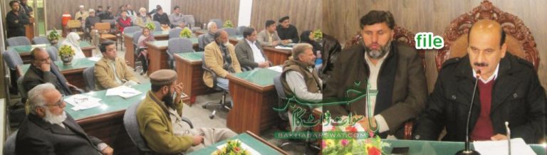 تحصیل کونسل بابوزئی کے آخری اجلاس میں متعدد ترقیاتی منصوبوں کی منظوری