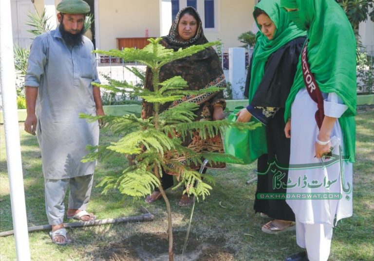 وزیر اعظم کے گرین اینڈ کلین پاکستان کے وژن کو عملی جامہ پہنائیں گے، ڈاکٹر نرگس آرا
