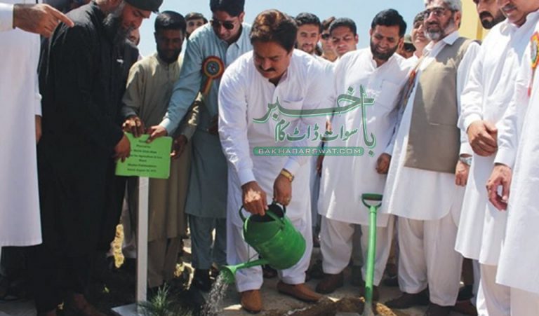 سوات،شجر کاری مہم کا آغاز،تین کروڑ پودے لگائے جائیں گے، رئیس خان