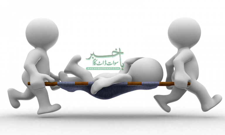 برہ درشخیلہ، چاول میں چھپکلی کھانے سے 7 افراد کی حالت غیر