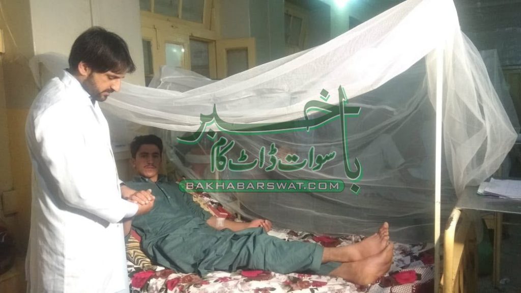 سوات، ڈینگی وائرس سے مزید 18 افراد متاثر، تعداد 218 ہوگئی