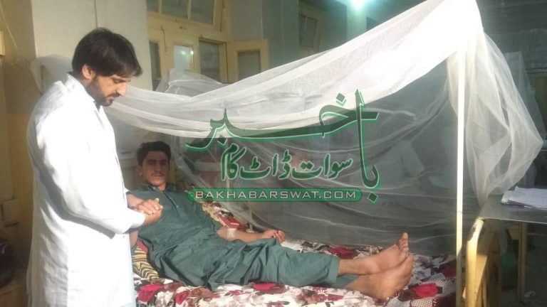 سوات میں ڈینگی کے وار جاری، مریضوں کی تعداد 43 ہوگئی