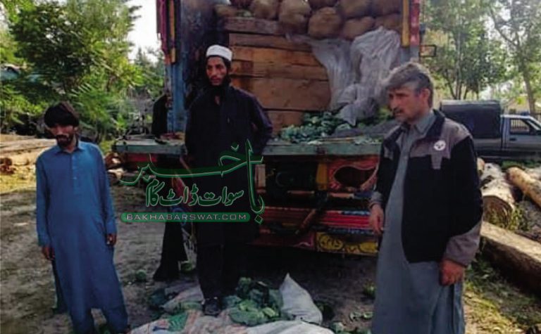 کالام، سبزی کے ٹرک میں دیار کی قیمتی لکڑی سمگل کرنے کی کوشش ناکام
