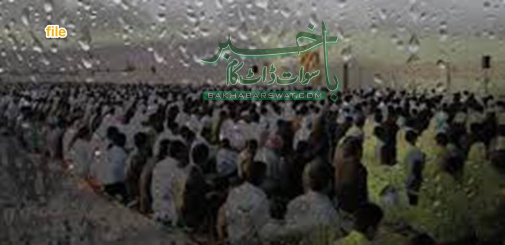 سوات، ڈینگی کے وار جاری، مزید چھے مریض اسپتال پہنچ گئے، تعداد 312 ہوگئی