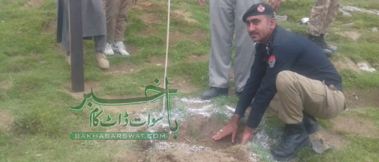 مالم جبہ میں پولیس کی جانب سے شجر کاری مہم کا آغاز