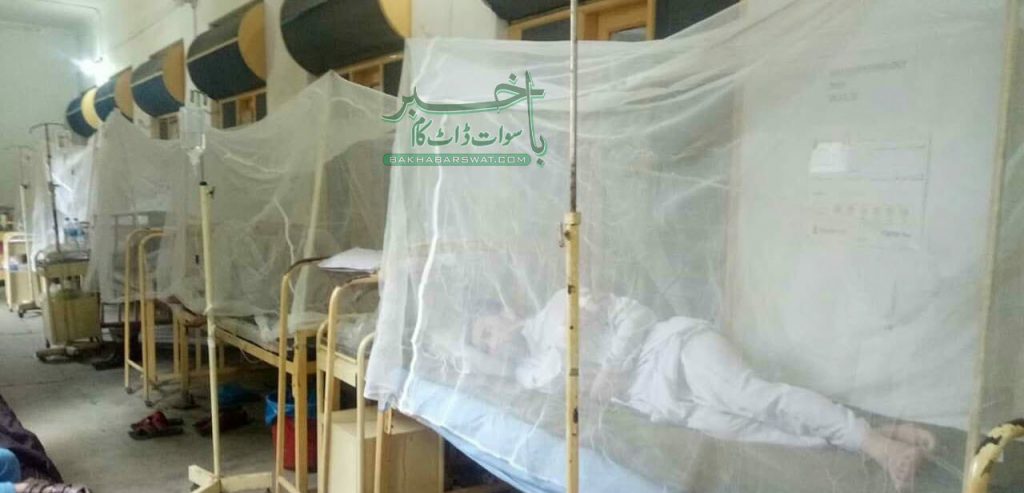 سوات، ڈینگی وائرس بے قابو ہوگیا، مزید 8مریض اسپتال میں داخل