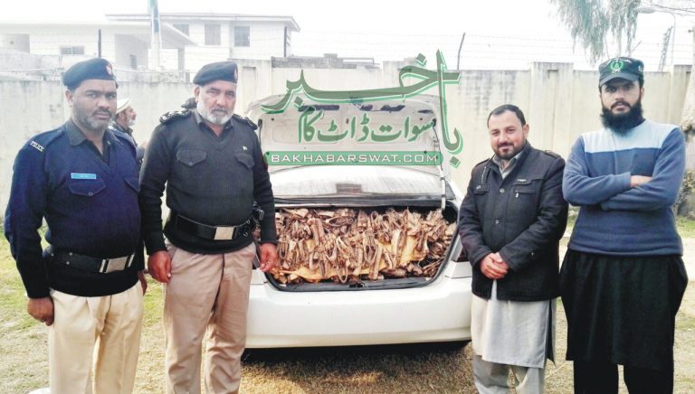 دیولئی، موٹر کار سے 55 کلو گرام دنداسہ برآمد،ملزمان گرفتار