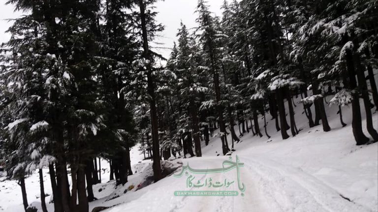 سوات، تین دن سے جاری بارش و برف باری کا سلسلہ تھم گیا