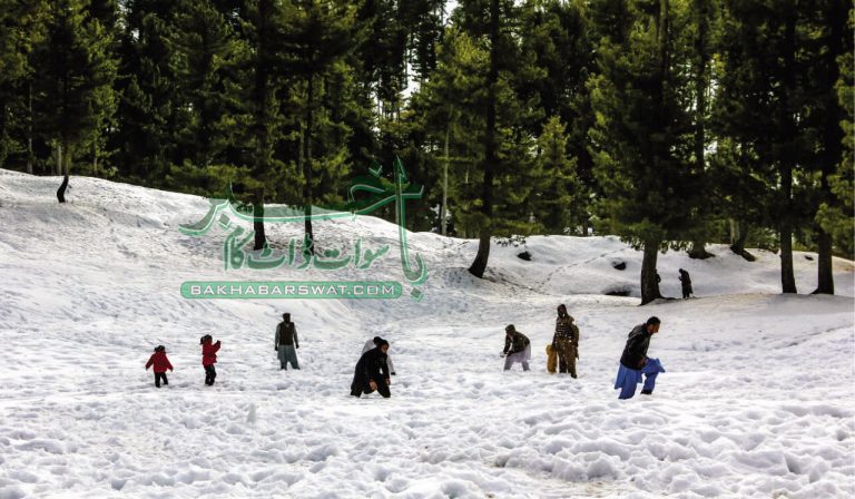 سوات، تیسرے روز بھی برف باری ہوئی، سیاحوں کی بڑی تعداد میں آمد جاری