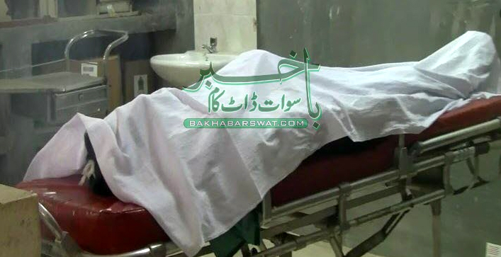 بریکوٹ، گاڑی کی ٹکر سے نامعلوم شخص جاں بحق