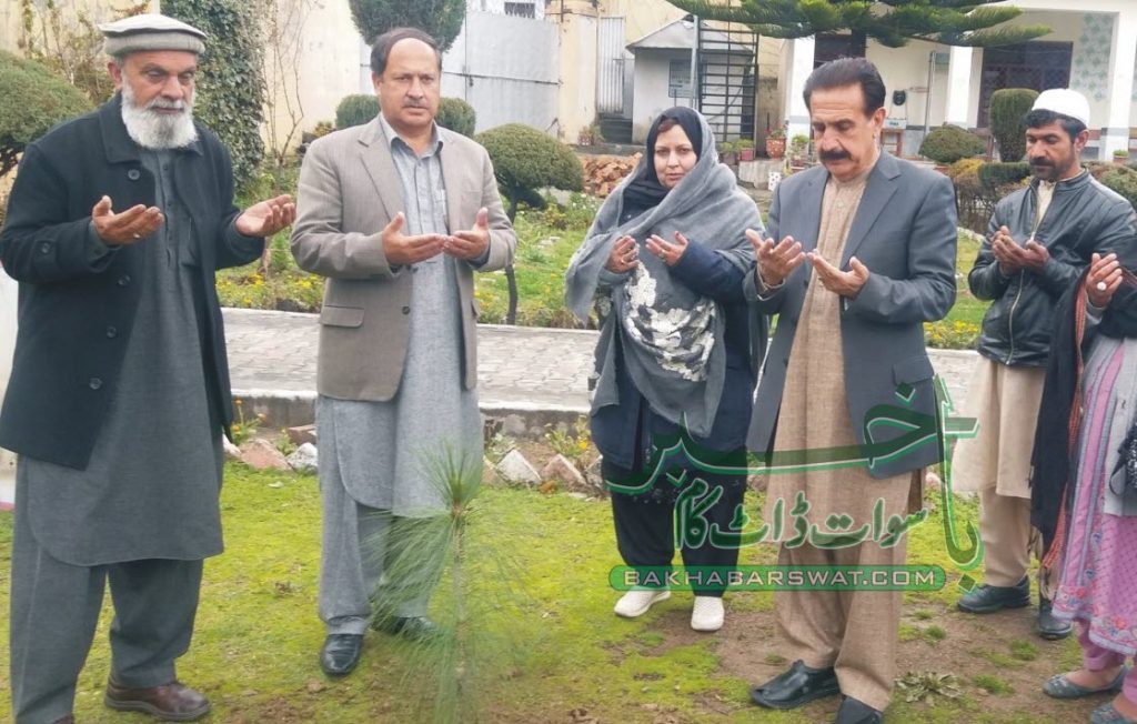 طلبہ ایک ایک درخت لگاکر کلین اینڈ گرین پاکستان کا آغاز کریں، وہاب خان