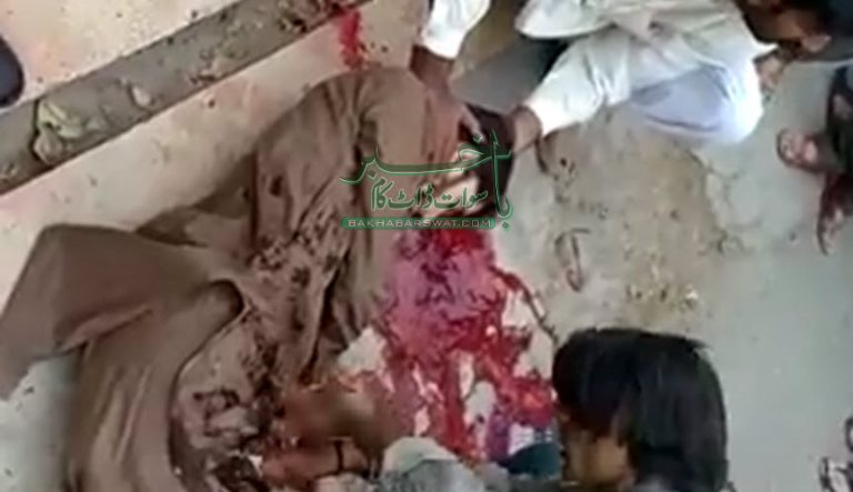 مانیار، ٹرک اور موٹرسائیکل میں تصادم،موٹرسائیکل سوار جاں بحق