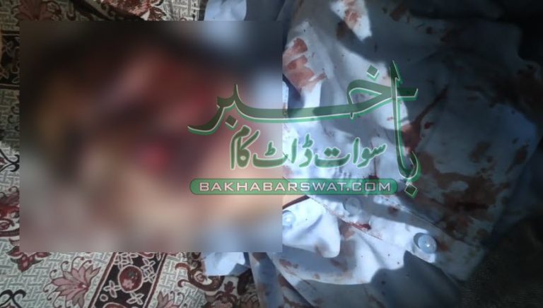 مٹہ ڈیرئی چپریال، ایک شخص پہاڑ سے گر کر جاں بحق