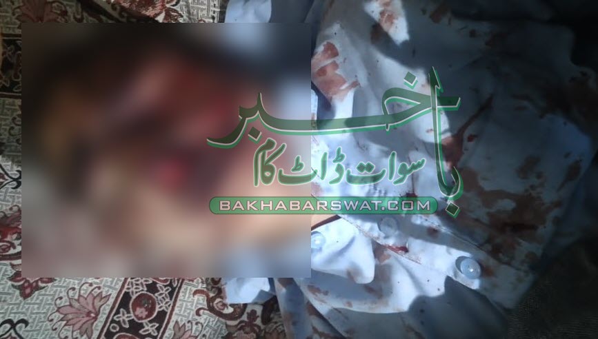 مٹہ ڈیرئی چپریال، ایک شخص پہاڑ سے گر کر جاں بحق