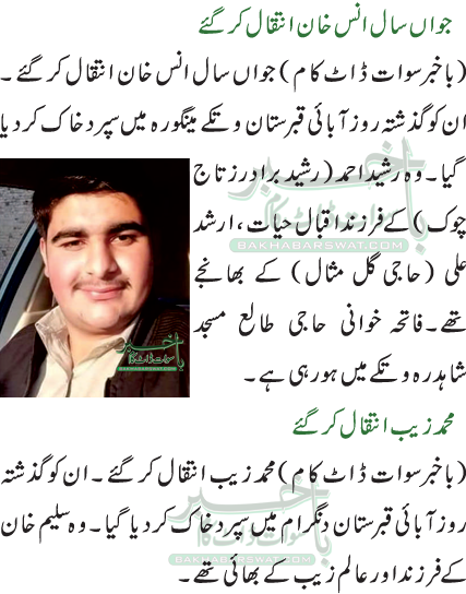 محمد زیب انتقال کر گئے/جواں سال انس خان انتقال کر گئے