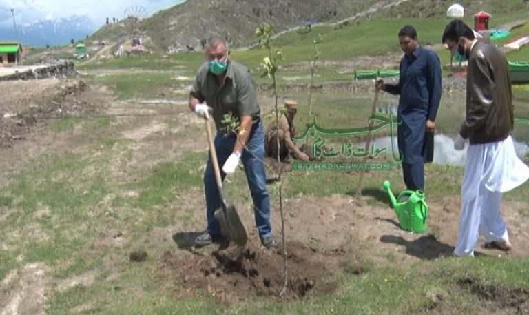ملم جبہ،میجک ماؤنٹین میں شجرکاری مہم کا آغاز