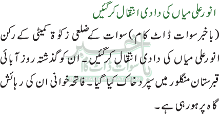 انورعلی میاں کی دادی انتقال کرگئیں