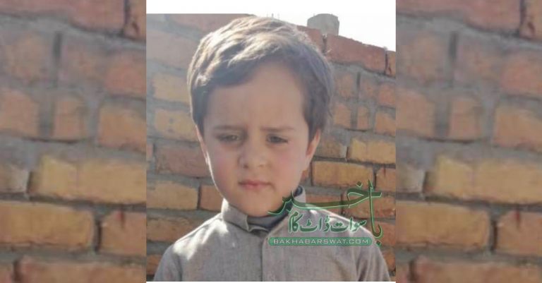 سیدو شریف، رکشہ کی ٹکر سے پانچ بہنوں کا اکلوتا بھائی جاں بحق