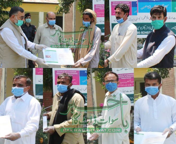 گوشت کی پیداوار کے لیے جانور فربہ کرنے کا پروگرام سوات میں بھی شروع