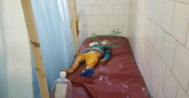 سخرہ، جیپ الٹنے سے دو افراد جاں بحق،چھے زخمی