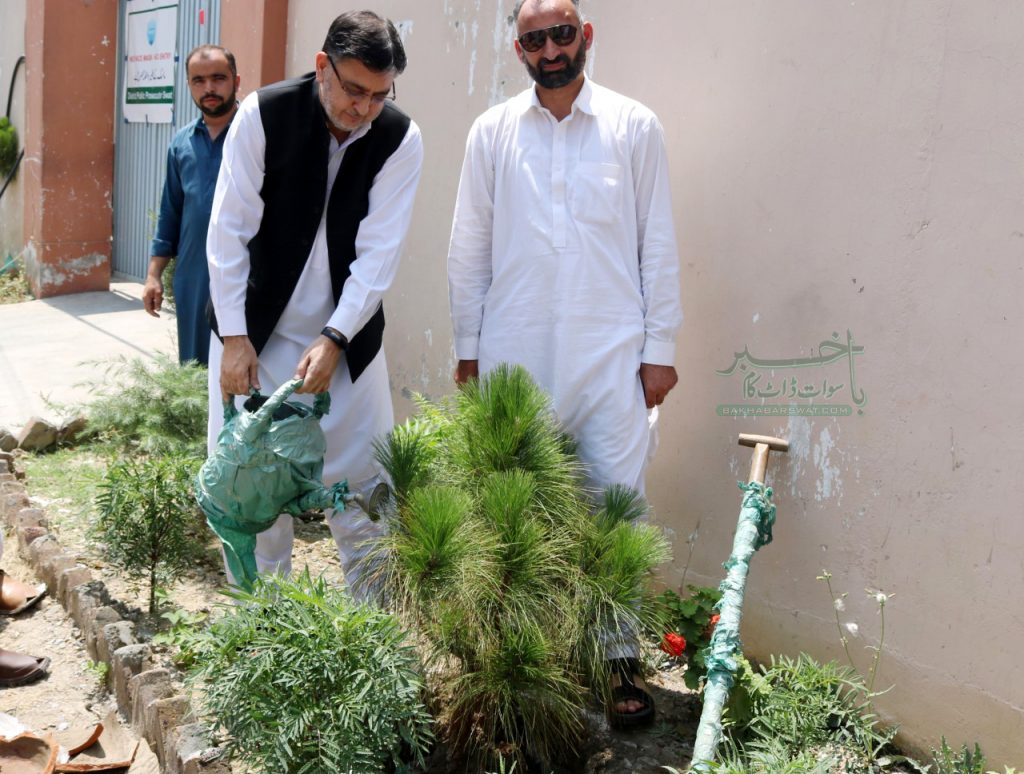 شجرکاری مہم میں بڑھ چڑھ کر حصہ لیں، سعید نعیم خان