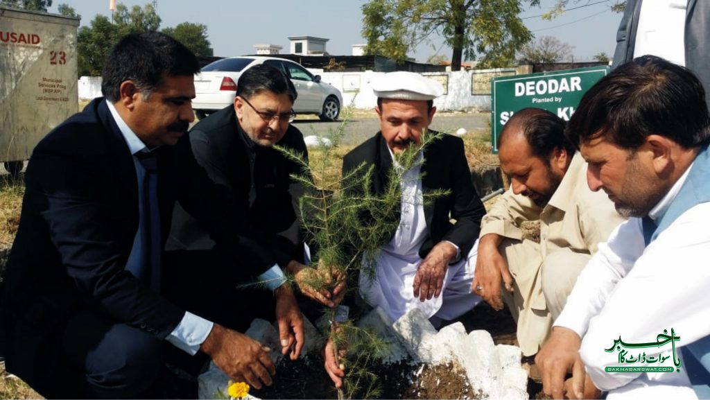 گل کدہ، ججوں کے بیچلر ہاسٹل کی صفائی کے ساتھ پودے لگادیے گئے