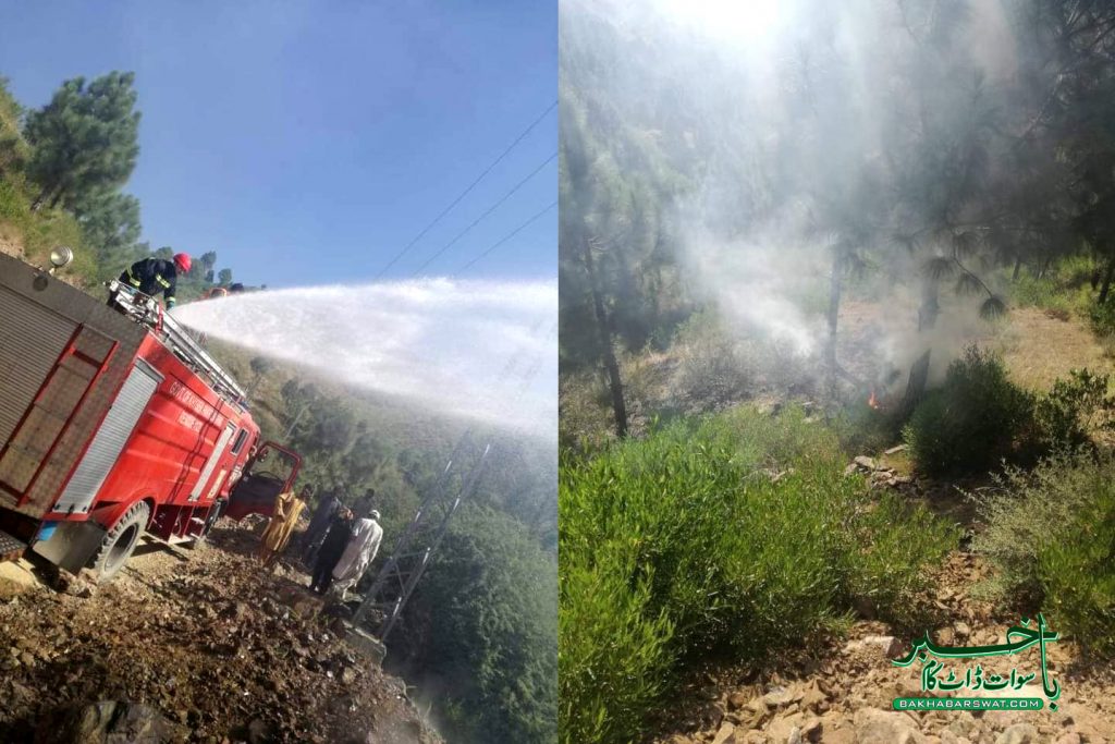 سوات سویگلئی، پہاڑ میں آگ لگ گئی، متعدد درخت اور پودے جل کر راکھ