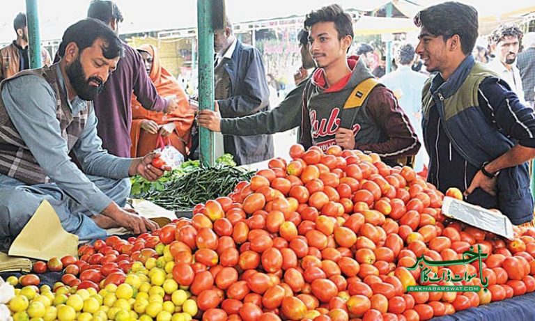 سوات، ایک کلو ٹماٹر کی قیمت پانچ سو روپے کی بلند سطح پر پہنچ گئی