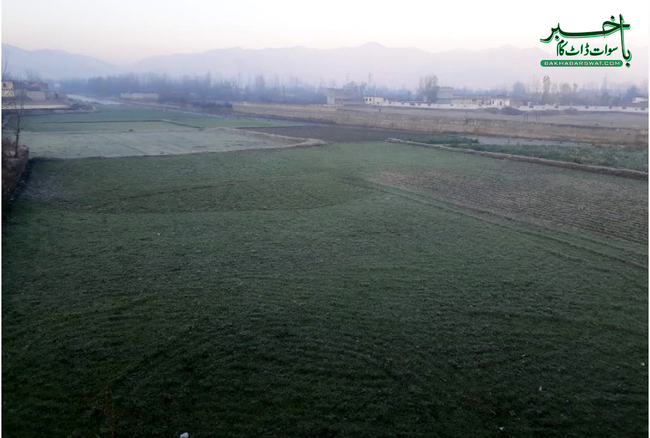سوات کے میدانی علاقوں میں بھی درجہئ حرارت نقطہئ انجماد سے گرگیا