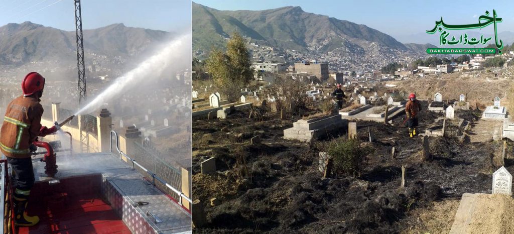 سیدو شریف قبرستان، آگ لگنے سے سیکڑوں پودے جل کر راکھ