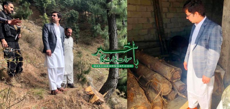 ملم جبہ گٹ کنڈو، نامعلوم افراد نے 6 درخت کاٹ لیے