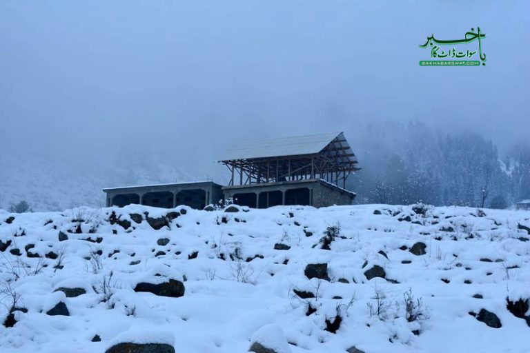 کالام، برف باری سے سردی کی شدت میں اضافہ، درجہئ حرارت گرگیا
