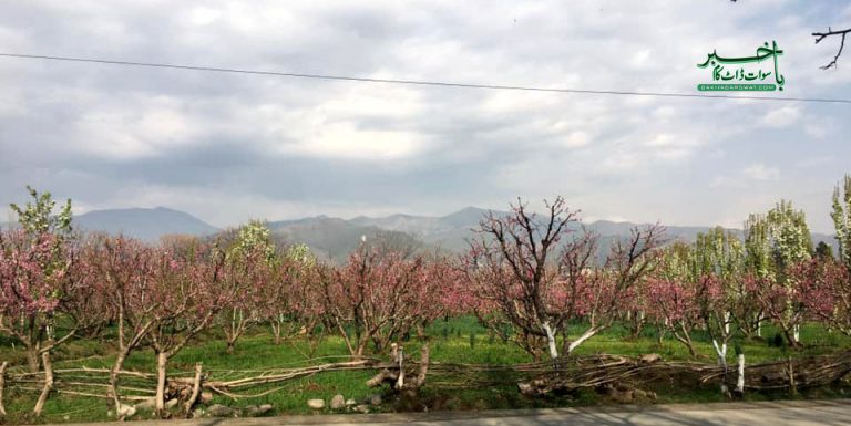 سوات کے مختلف علاقوں میں ہلکی بارش سے موسم خوشگوار