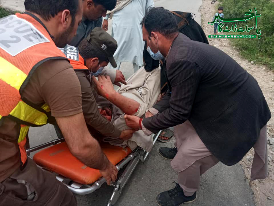 نویکلے شین، تیز رفتار موٹر کار بھیڑوں کے ریوڑ پر چڑھ دوڑی