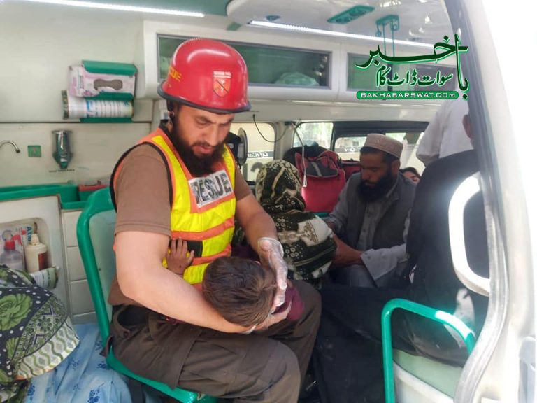 منگلور بنجوٹ، مسافر پک اَپ کھائی میں گرگئی،2 افراد جاں بحق، 19 زخمی