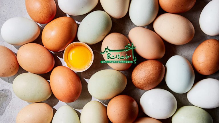 فوڈ اتھارٹی سوات، گندے انڈوں کا بڑا نیٹ ورک پکڑ لیاگیا، ہزاروں انڈے تلف
