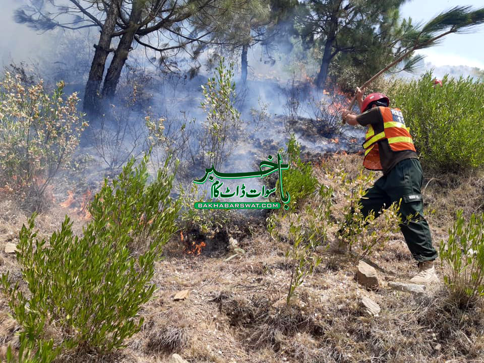 فضا گٹ پہاڑی میں نامعلوم وجوہات کی بنا پر آگ لگ گئی